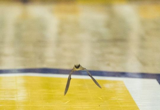 #pcbb Links of the Day 1/31/14