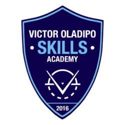 VOSkillsAcademy-250x250
